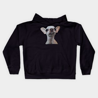 Chasey The Chi Kids Hoodie